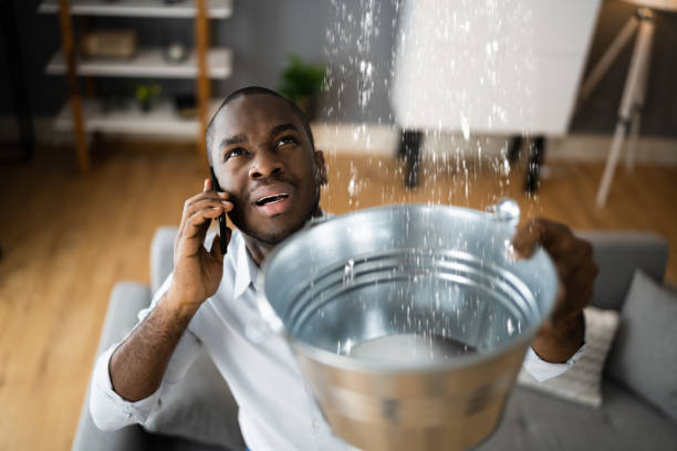 Best Water damage restoration company  in Los Fresnos, TX