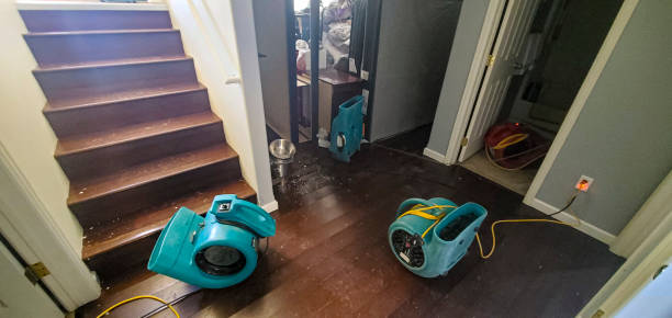 Best Local water damage restoration  in Los Fresnos, TX