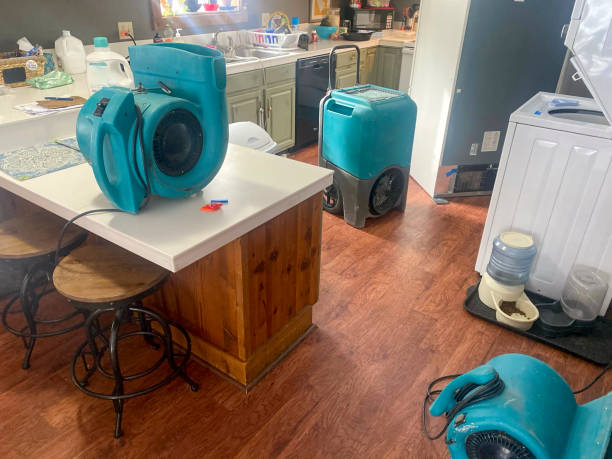 Best 24-hour water damage restoration  in Los Fresnos, TX