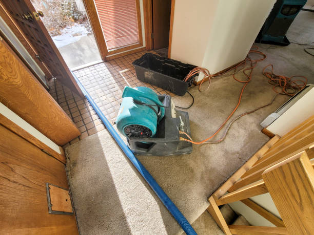 Best Sewage cleanup and water damage restoration  in Los Fresnos, TX