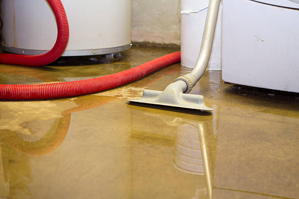 Best Local water damage restoration  in Los Fresnos, TX