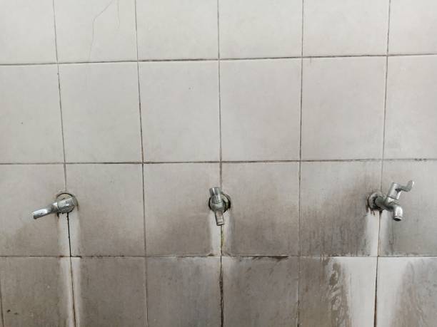  Los Fresnos, TX Water damage restoration Pros