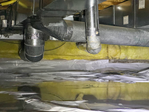 Best Residential water damage restoration  in Los Fresnos, TX