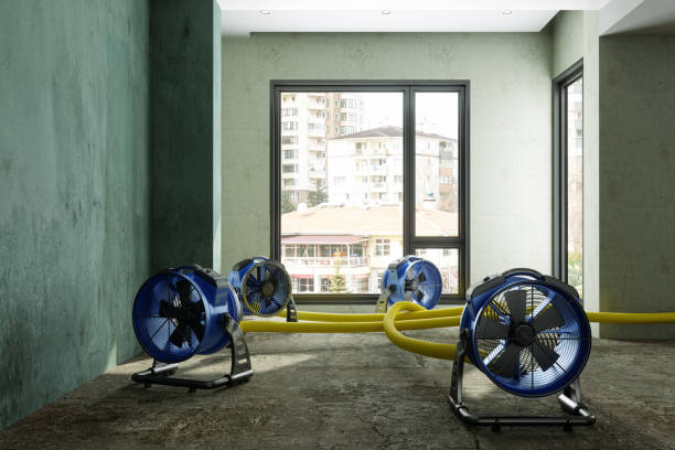 Sewage cleanup and water damage restoration in Los Fresnos, TX